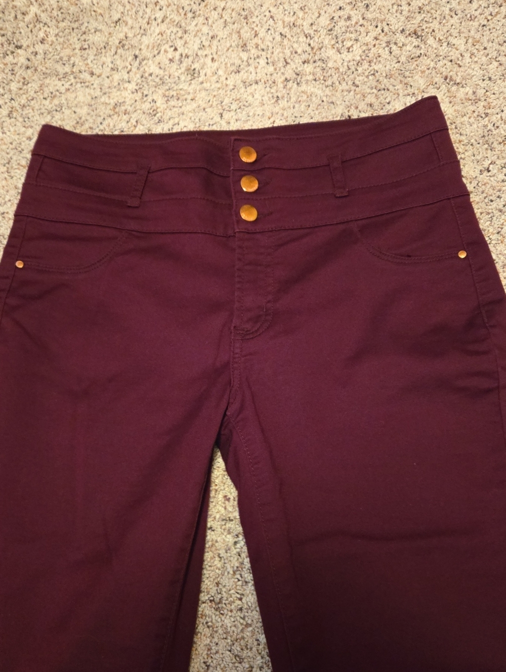 High-Waist Skinny Pants in Deep Wine Womens Size 10